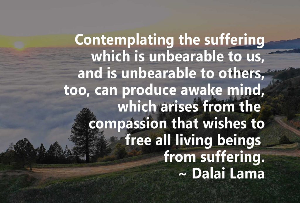 Dalai Lama quote